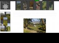 Producteur de vins d'Anjou, dans le Maine et Loire (49) près de Saumur