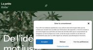 Rédaction web et stratégie éditoriale en Guadeloupe