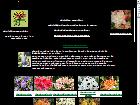 rhododendrons et azalées en belgique