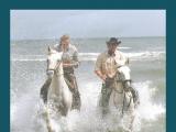 Séjour équestre en Camargue