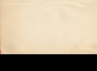 Semences de potager biologiques et reproductibles