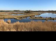 Séminaire et team building en Baie de Somme 