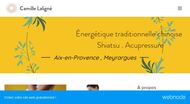 Shiatsu et énergétique chinoise Meyrargues (13)