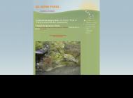 Stages et cours de Qi Gong à Paris