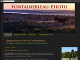 Stages photo en forêt de Fontainebleau