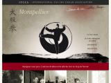 Tai Chi et Qi gong à Montpellier