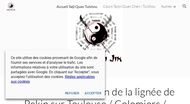 Taichi Chuan Chen Tuishou Colomiers Blagnac