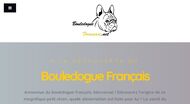 Tout savoir sur le bouledogue français