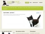 Trouver un nom pour son chien ou son chat