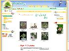 Vente de graines de bonsai