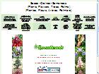 vente de graines exotiques - semences - rarexoticseeds