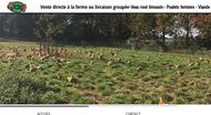 Vente directe viande bovine au sud de Poitiers (86)
