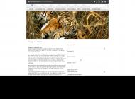 Voyage sur mesure en inde| Jodhpur voyage