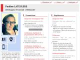 Webmaster Intégrateur Front-End