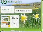 Websites12 :  création votre site internet professionnel Sébrazac, Aveyron.