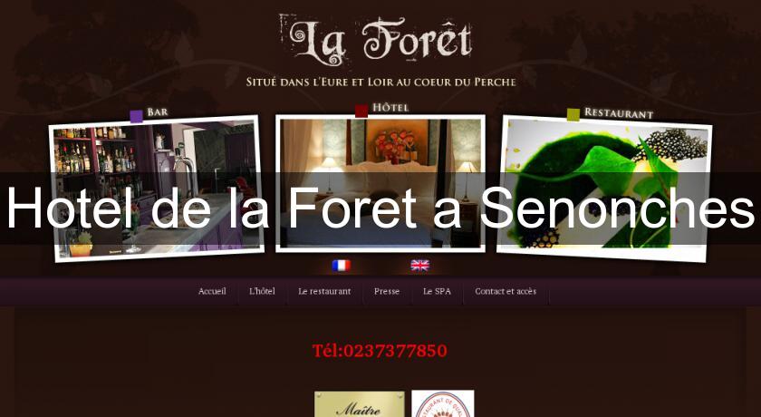 Hotel de la Foret a Senonches Hotel de la Foret a Senonches