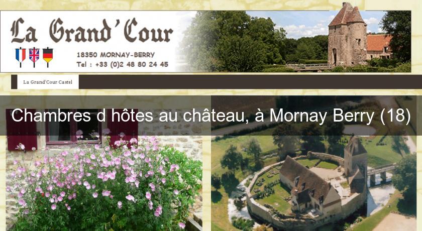Chambres d'hôtes au château, à Mornay Berry (18) Chambres d'hôtes au château, à Mornay Berry (18)