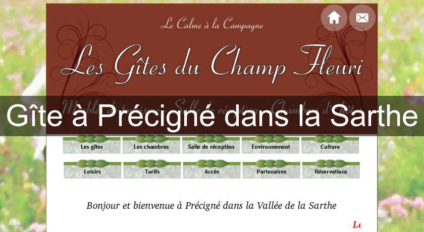 Gîte à Précigné dans la Sarthe Gîte à Précigné dans la Sarthe
