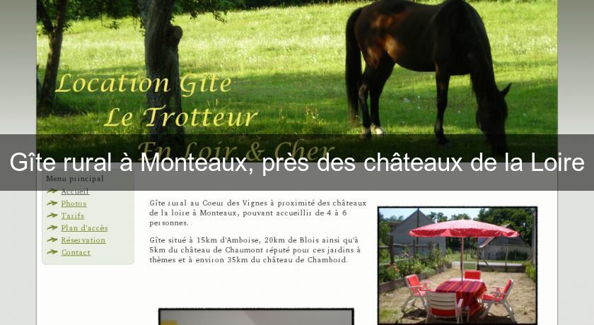 Gîte rural à Monteaux, près des châteaux de la Loire Gîte rural à Monteaux, près des châteaux de la Loire