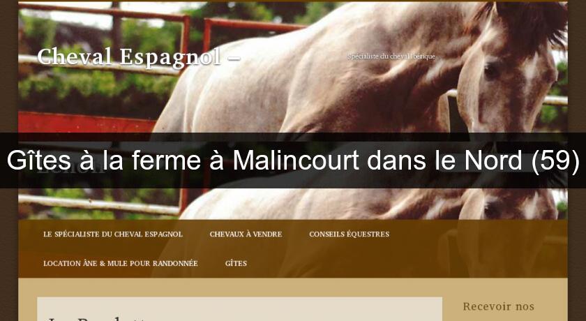 Gîtes à la ferme à Malincourt dans le Nord (59) Gîtes à la ferme à Malincourt dans le Nord (59)