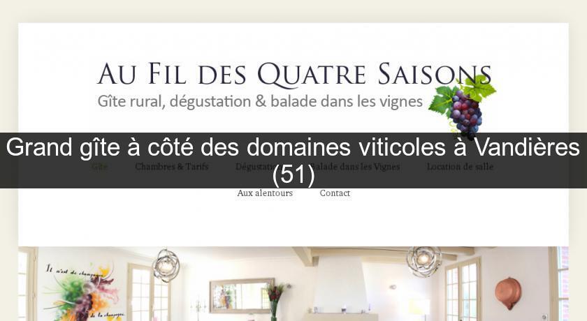 Grand gîte à côté des domaines viticoles à Vandières (51) Grand gîte à côté des domaines viticoles à Vandières (51)