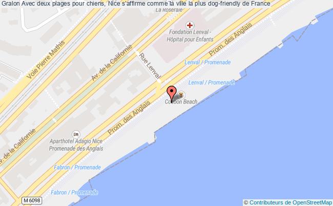 plan Avec Deux Plages Pour Chiens, Nice S’affirme Comme La Ville La Plus Dog-friendly De France