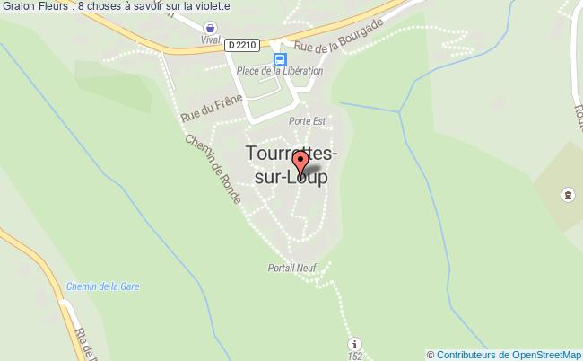 plan Fleurs : 8 Choses à Savoir Sur La Violette