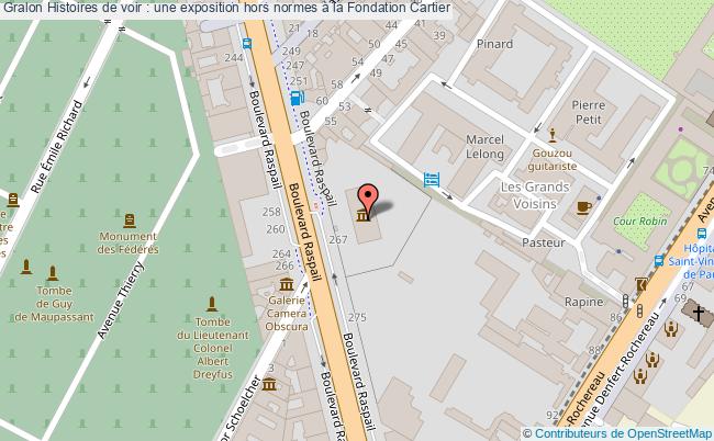 plan Histoires De Voir : Une Exposition Hors Normes à La Fondation Cartier