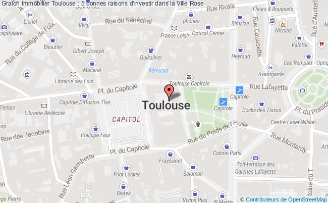 plan Immobilier Toulouse : 5 Bonnes Raisons D'investir Dans La Ville Rose