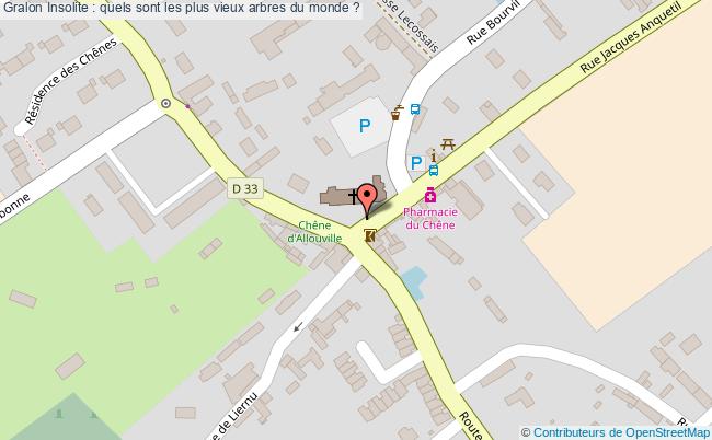 plan Insolite : Quels Sont Les Plus Vieux Arbres Du Monde ?