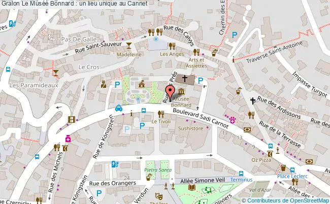 plan Le Musée Bonnard : Un Lieu Unique Au Cannet