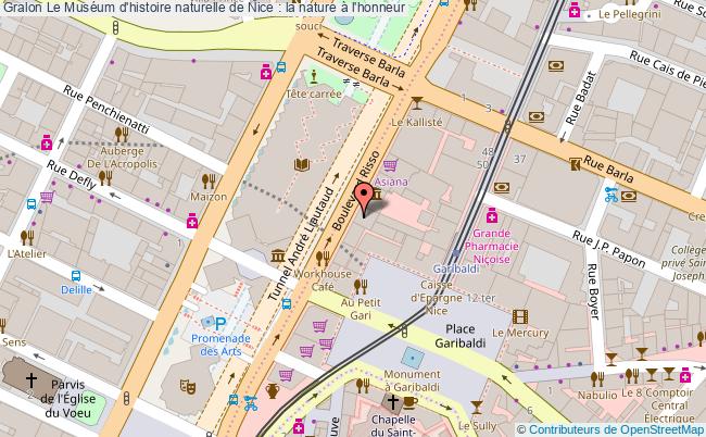 plan Le Muséum D'histoire Naturelle De Nice : La Nature à L'honneur