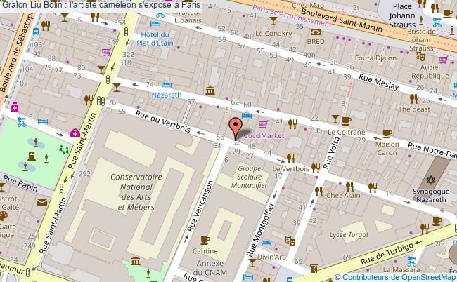 plan Liu Bolin : L'artiste Caméléon S'expose à Paris