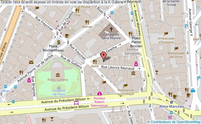 plan Nick Brandt Expose Un Monde En Voie De Disparition à La A.galerie