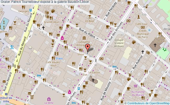 plan Patrick Tourneboeuf Expose à La Galerie Baudoin-lebon