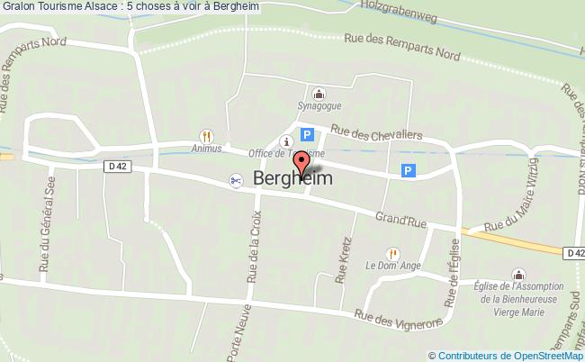 plan Tourisme Alsace : 5 Choses à Voir à Bergheim