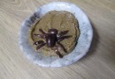 La tartinade d'aubergine spécial Halloween : une recette facile