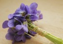 Fleurs : 5 choses à savoir sur la violette de Toulouse