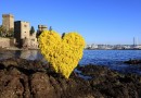 Mandelieu : une destination romantique pour la Saint-Valentin