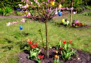 Tuto de Pâques : comment faire un arbre de Pâques ?