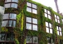 Le mur végétal : un concept innovant