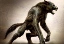 Le loup-garou : un personnage de légende