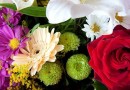Le langage des fleurs : présentation et significations