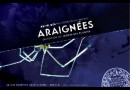 Au fil des araignées : une exposition au Muséum National d'Histoire Naturelle