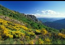 L'Hérault : une nature aux multiples paysages 