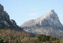 Le Pic Saint Loup et ses alentours : une idée de balade