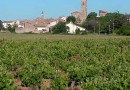 Le Languedoc : des vignobles à découvrir
