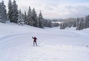 Le ski de fond, un défi sportif au contact de la nature