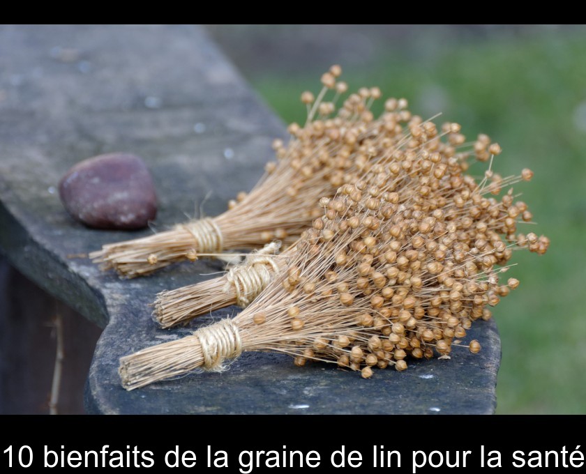 Quels sont les bienfaits des graines de Lin pour la peau ?