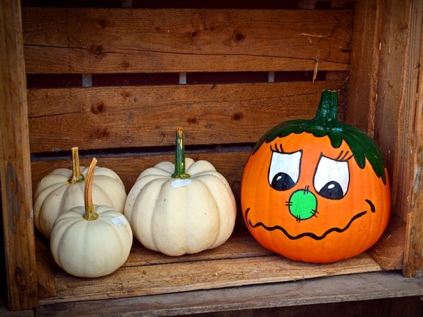 10 idées de citrouilles originales pour Halloween 10 idées de citrouilles originales pour Halloween